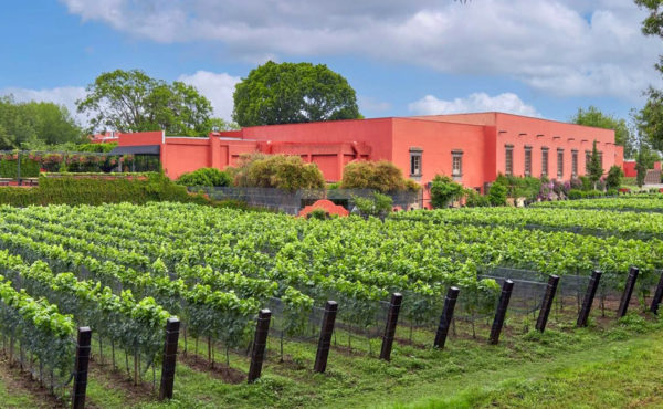 Hacienda Galindo ofrecerá experiencias vitivinícolas